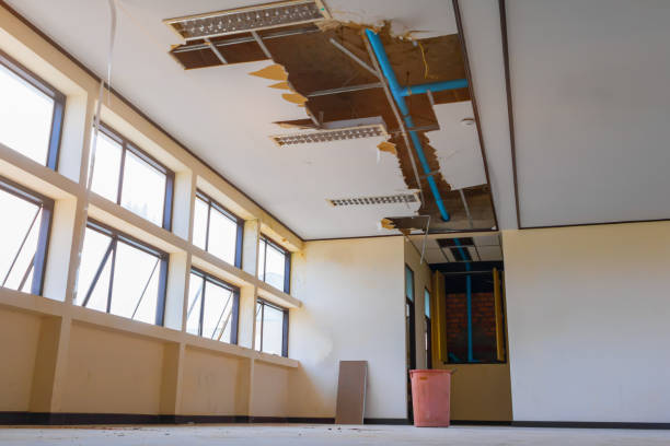 Best Emergency water damage restoration  in Rockford, MN