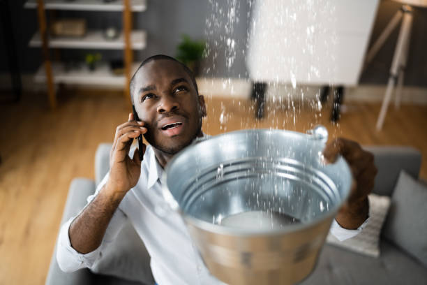 Best Flood restoration services  in Rockford, MN