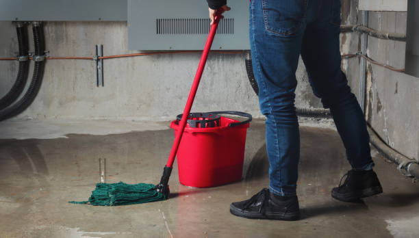 Best Carpet water damage restoration  in Rockford, MN