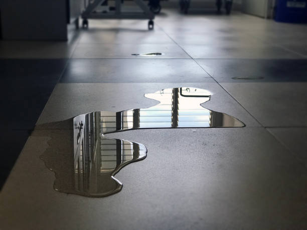 Best Commercial water damage restoration  in Rockford, MN