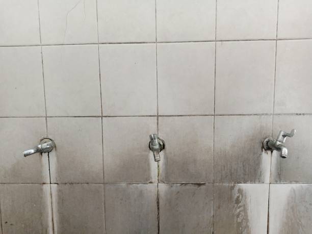 Best Water damage restoration experts  in Rockford, MN