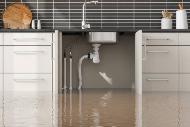 Trusted Rockford, MN Water damage restoration Experts