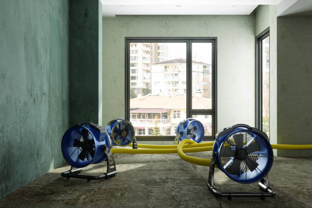 Best 24/7 water damage repair  in Rockford, MN