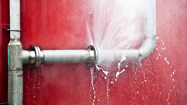Best Flooded house restoration  in Rockford, MN